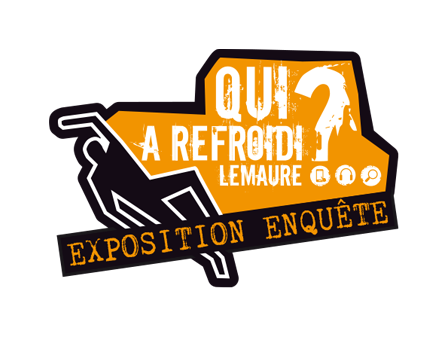 logo accueil lemaure