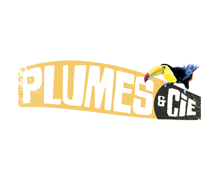 logo accueil plumes